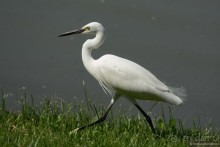 Азиатский квест, или поди туда, не знаю куда. Часть 1