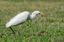 Азиатский квест, или поди туда, не знаю куда. Часть 1