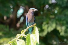 Азиатский квест, или поди туда, не знаю куда. Часть 1