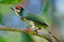 Азиатский квест, или поди туда, не знаю куда. Часть 1