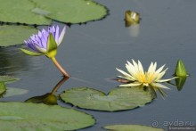 Азиатский квест, или поди туда, не знаю куда. Часть 1