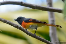 Азиатский квест, или поди туда, не знаю куда. Часть 1