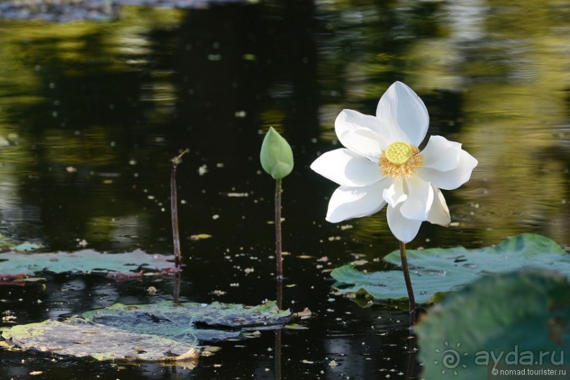 Азиатский квест, или поди туда, не знаю куда. Часть 1