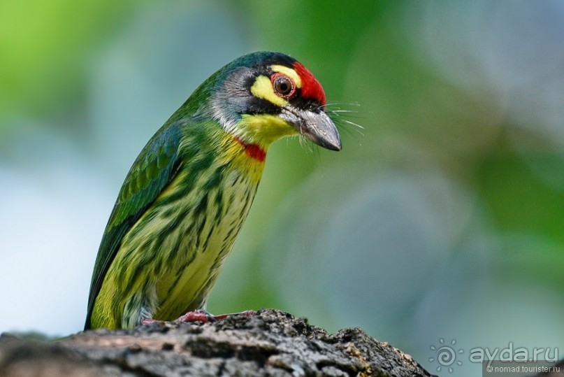 Азиатский квест, или поди туда, не знаю куда. Часть 1