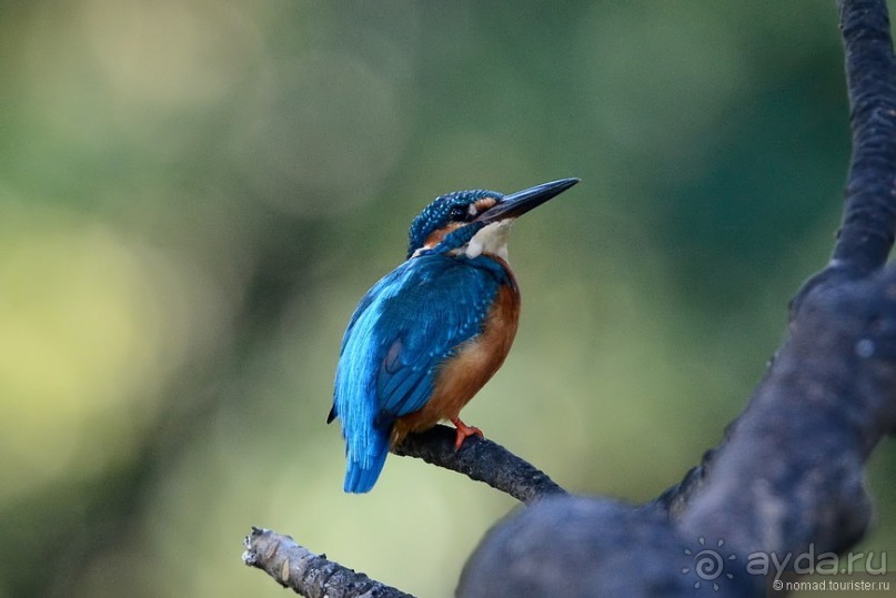 Азиатский квест, или поди туда, не знаю куда. Часть 1