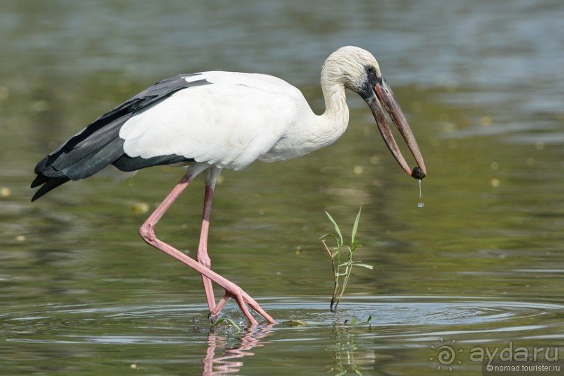 Азиатский квест, или поди туда, не знаю куда. Часть 1