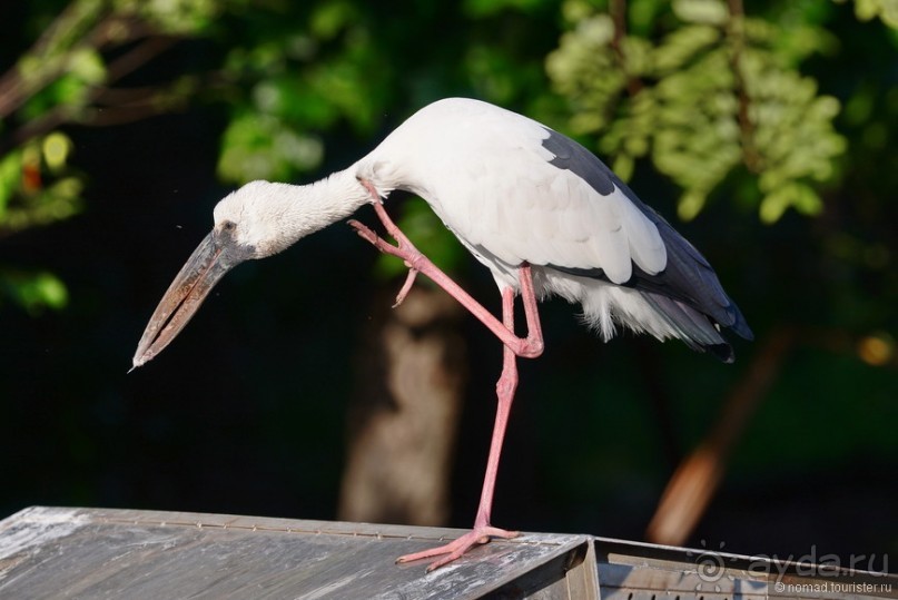 Азиатский квест, или поди туда, не знаю куда. Часть 1