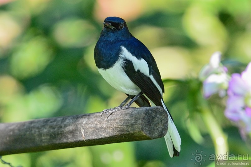 Азиатский квест, или поди туда, не знаю куда. Часть 1