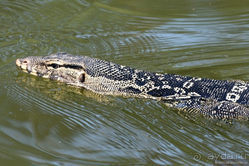 Азиатский квест, или поди туда, не знаю куда. Часть 1