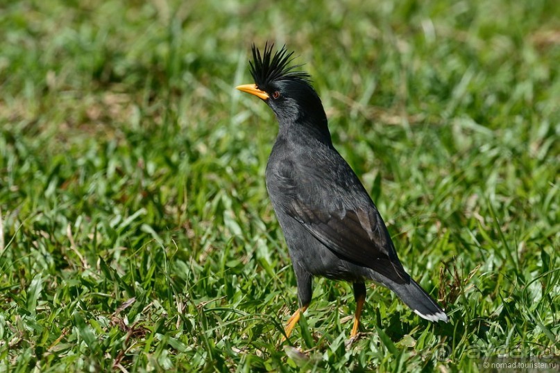 Азиатский квест, или поди туда, не знаю куда. Часть 1
