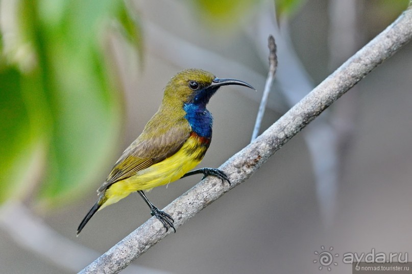 Азиатский квест, или поди туда, не знаю куда. Часть 1