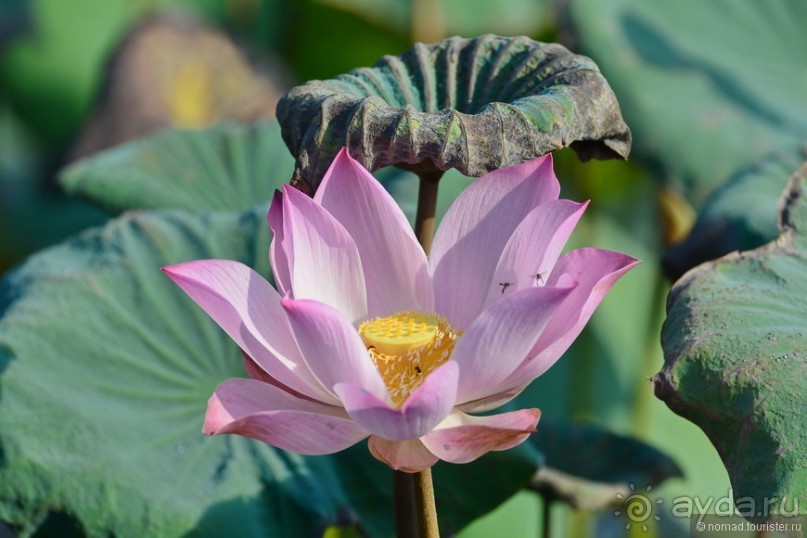 Азиатский квест, или поди туда, не знаю куда. Часть 1