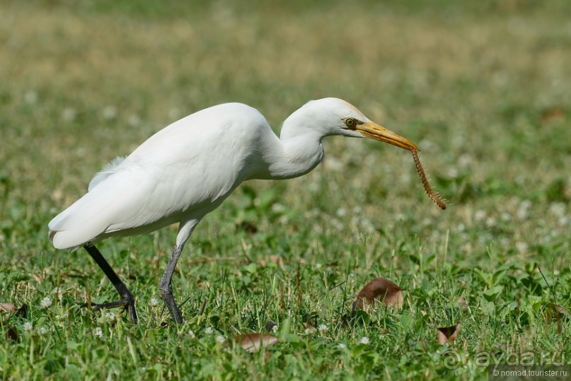 Азиатский квест, или поди туда, не знаю куда. Часть 1