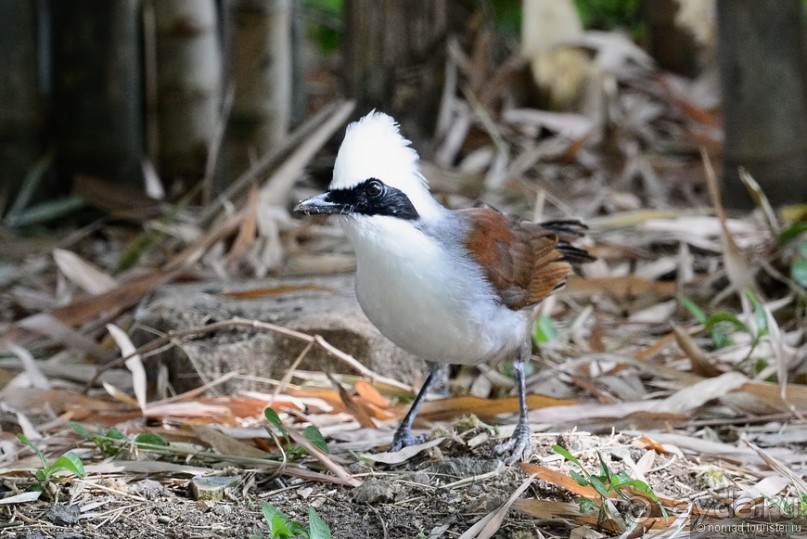Азиатский квест, или поди туда, не знаю куда. Часть 1