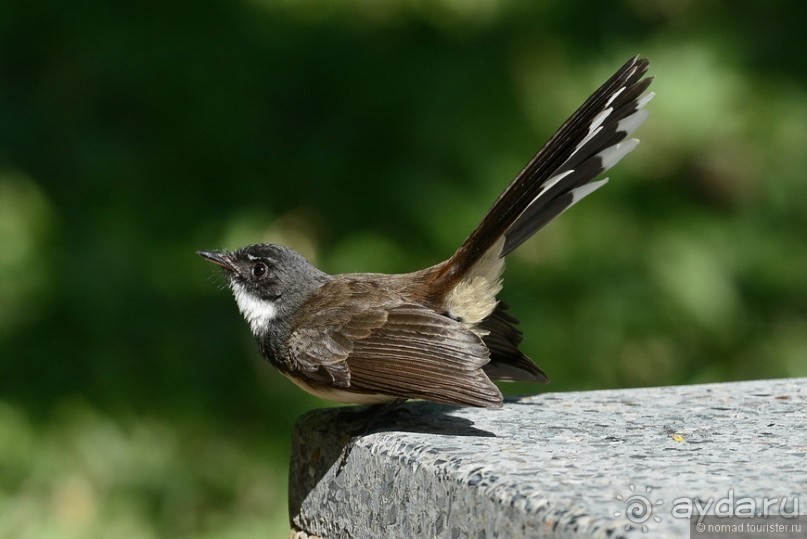 Азиатский квест, или поди туда, не знаю куда. Часть 1