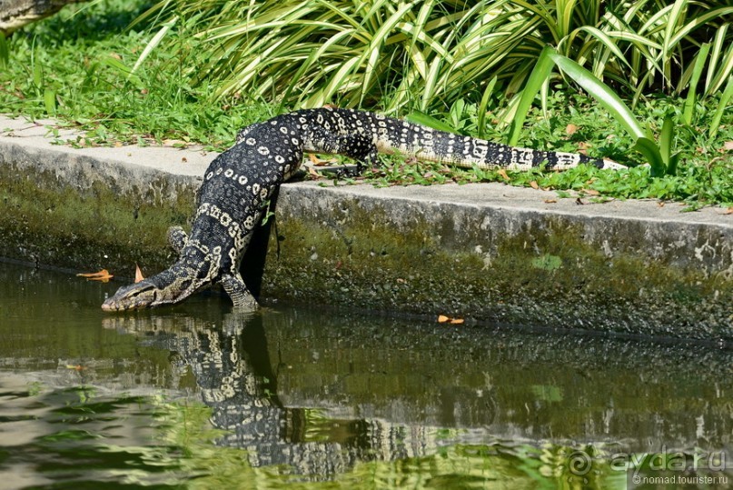 Азиатский квест, или поди туда, не знаю куда. Часть 1