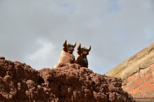 Американские горки (декабрь 2012-январь 2013) Часть 3