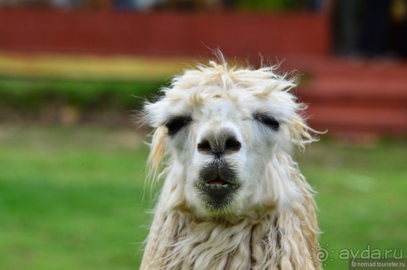 Американские горки (декабрь 2012-январь 2013) Часть 3