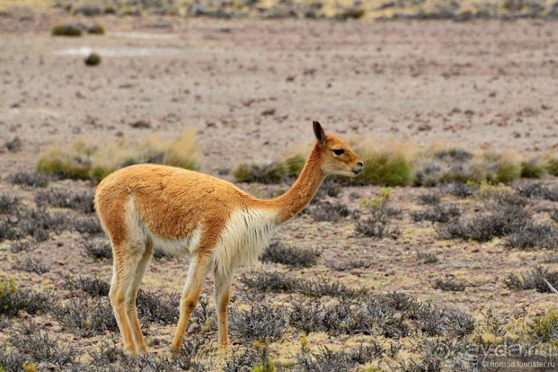 Американские горки (декабрь 2012-январь 2013) Часть 3