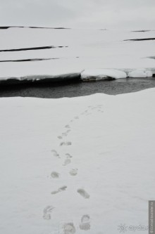 2226 километров по стране чудес. Исландия. Часть 6