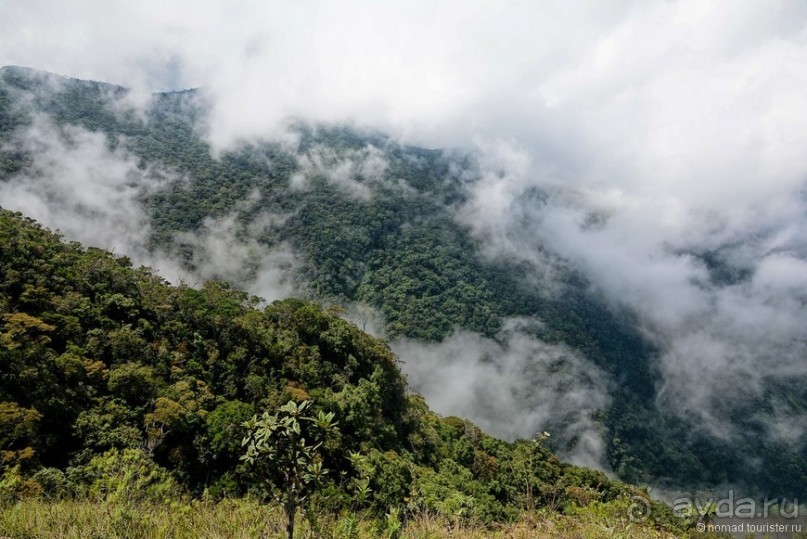 Цейлон на троих. Часть 5