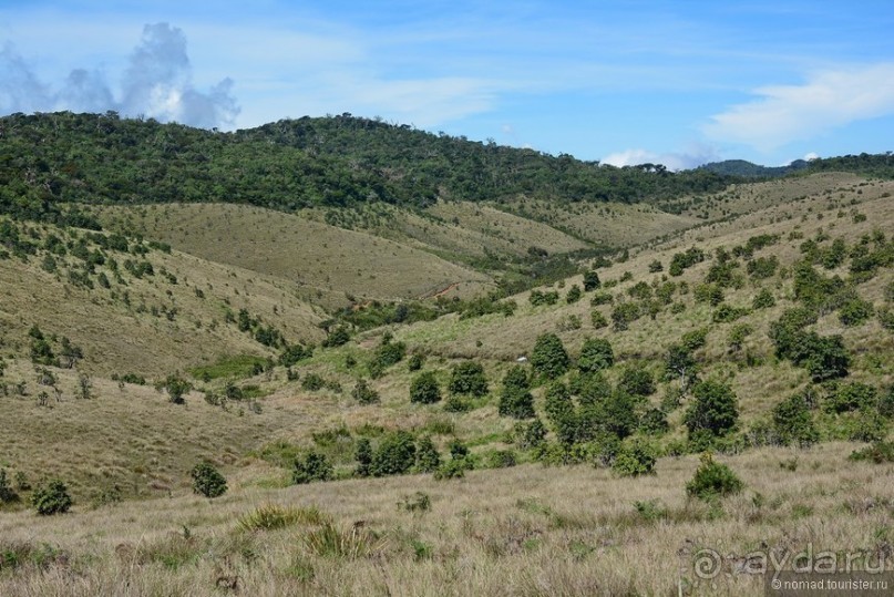 Цейлон на троих. Часть 5