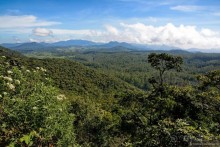 Цейлон на троих. Часть 5