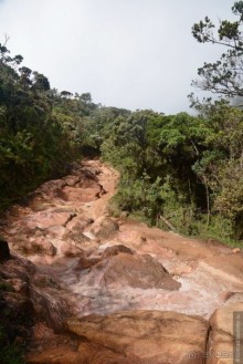 Цейлон на троих. Часть 5