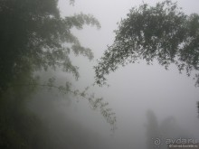 Цейлон на троих. Часть 5