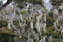 Цейлон на троих. Часть 5