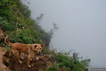 Цейлон на троих. Часть 5