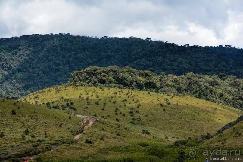 Цейлон на троих. Часть 5