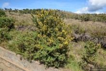 Цейлон на троих. Часть 5