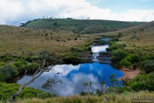 Цейлон на троих. Часть 5