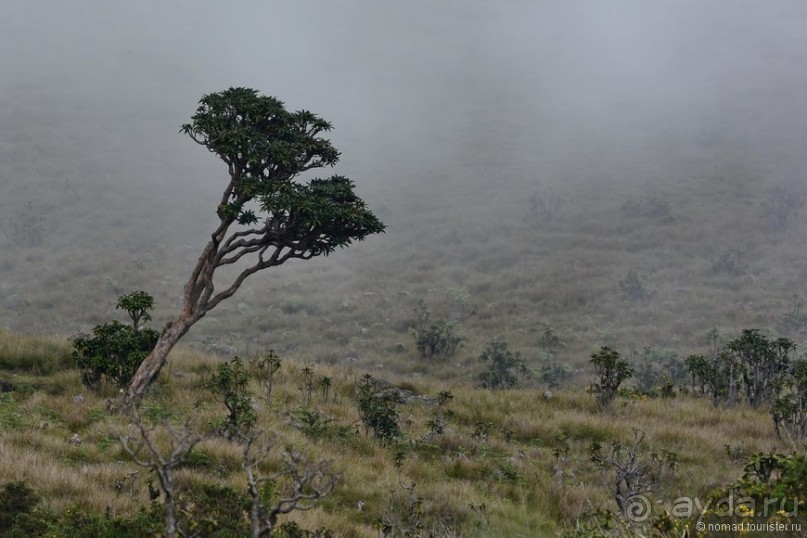 Цейлон на троих. Часть 5