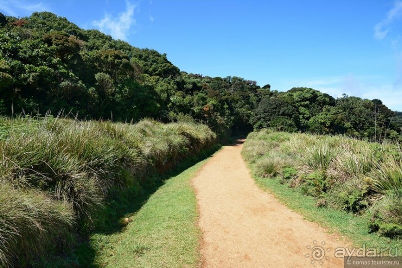 Цейлон на троих. Часть 5