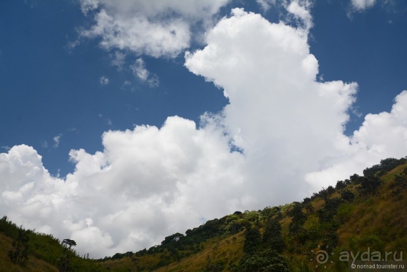 Цейлон на троих. Часть 5