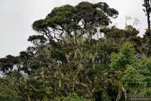 Цейлон на троих. Часть 5