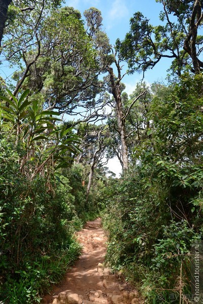 Цейлон на троих. Часть 5