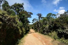 Цейлон на троих. Часть 5