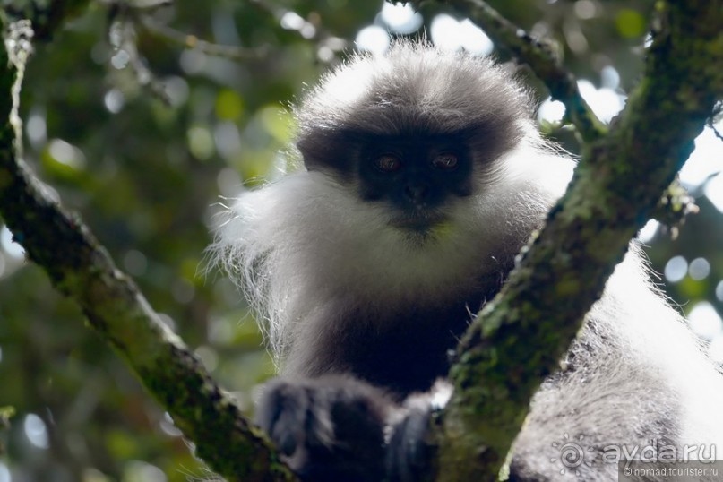 Цейлон на троих. Часть 5