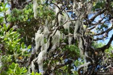 Цейлон на троих. Часть 5