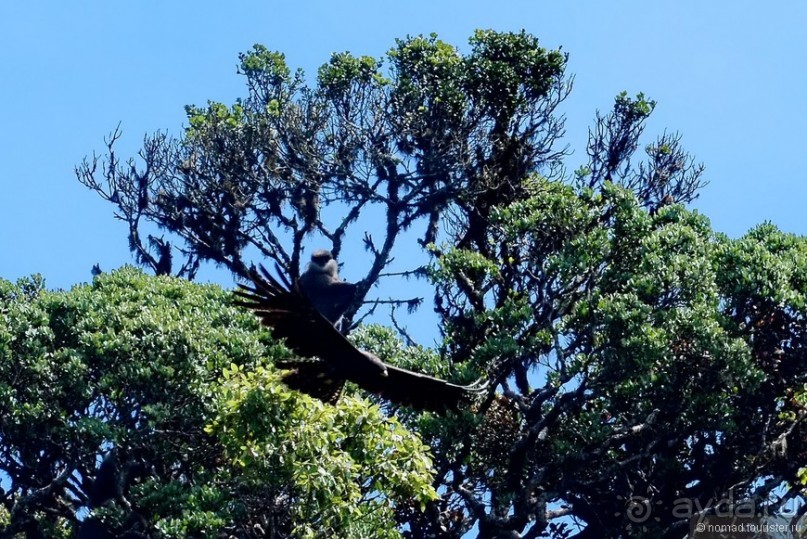 Цейлон на троих. Часть 5