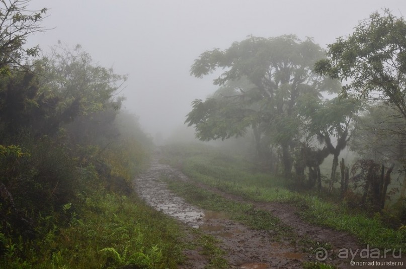 Альбом отзыва "Цейлон на троих. Часть 5"