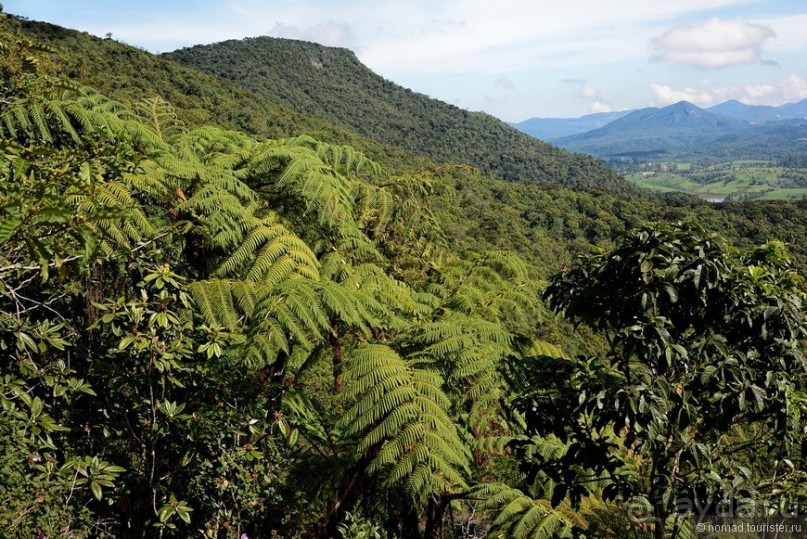 Альбом отзыва "Цейлон на троих. Часть 5"