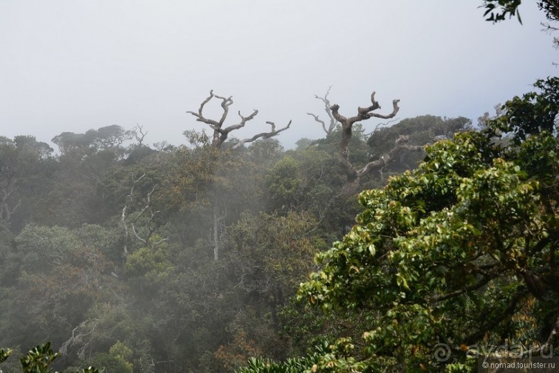 Цейлон на троих. Часть 5