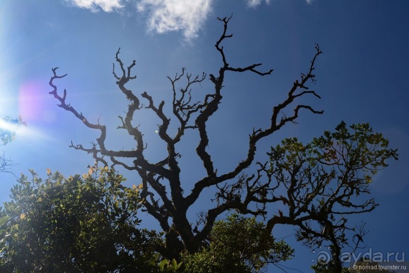 Цейлон на троих. Часть 5