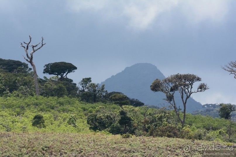 Цейлон на троих. Часть 5