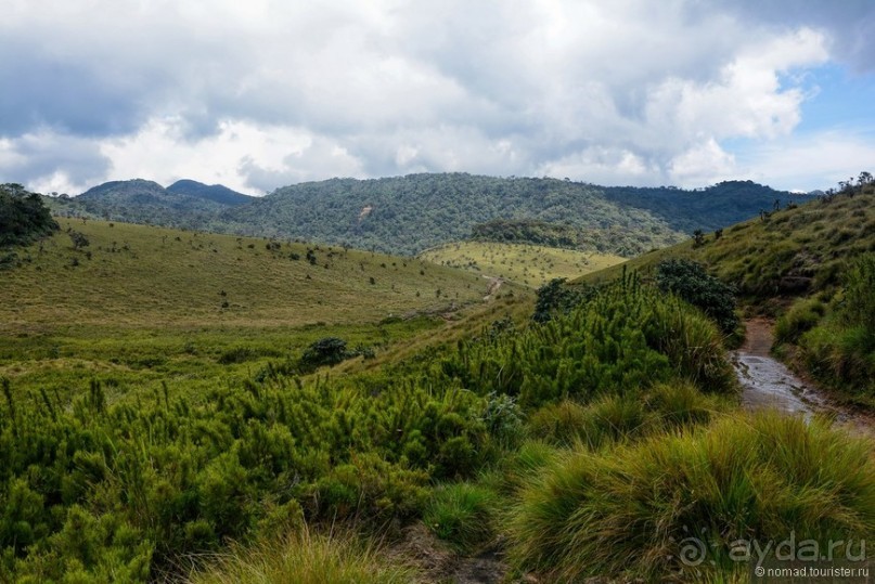 Цейлон на троих. Часть 5