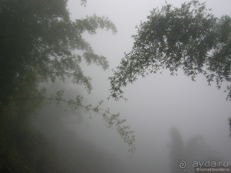 Альбом отзыва "Цейлон на троих. Часть 5"